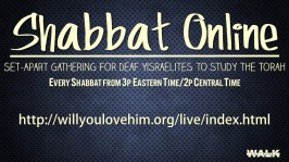 Shabbat Online